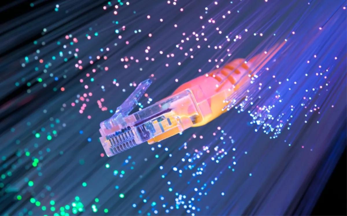 Fiber optik ve ağ kablosu